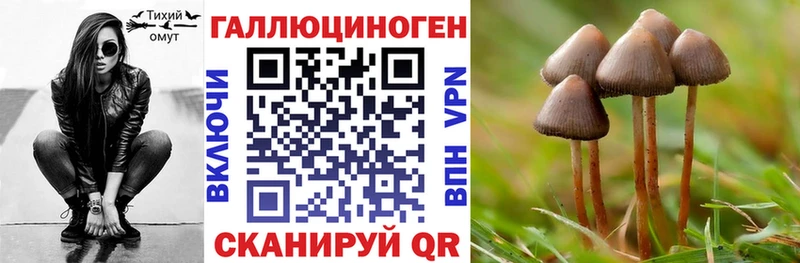 Купить закладки  Кяхта  Псилоцибиновые грибы MAGIC MUSHROOMS 