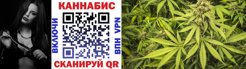 Бошки марихуана White Widow  Купить  Кяхта 